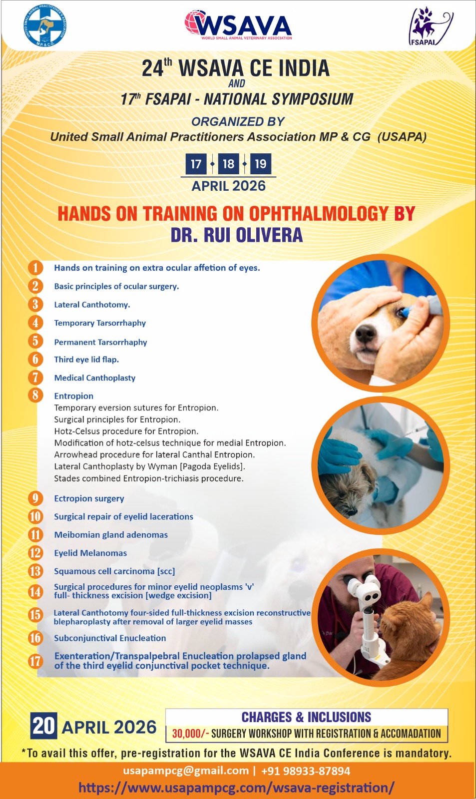 Dr. Rui Olivera Flyer